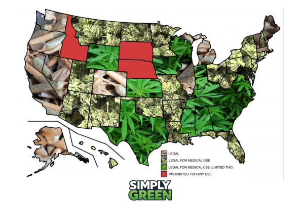Medical Marijuana Programs in 2026: What New York Adults Should Know