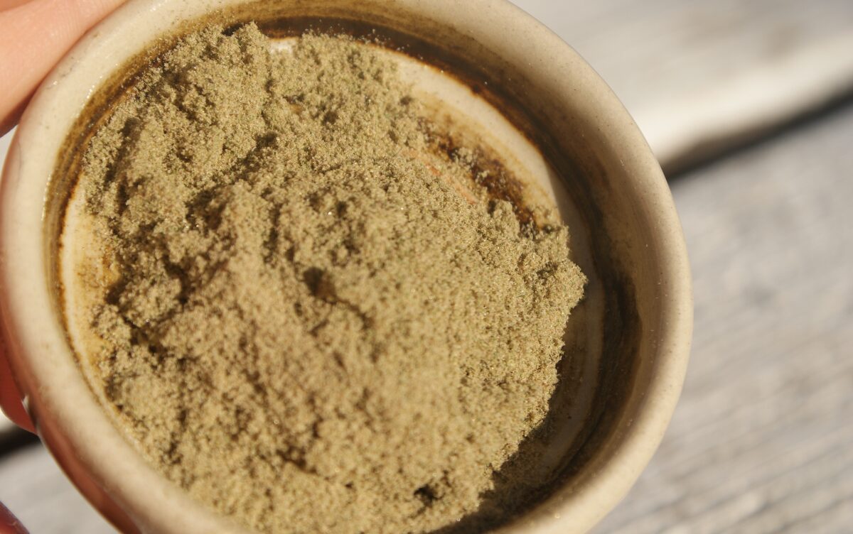 Close-up of collected kief powder